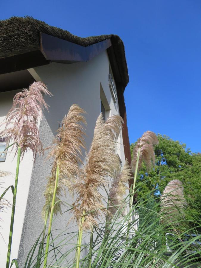 Boddenhaus Darss Wieck Exterior foto